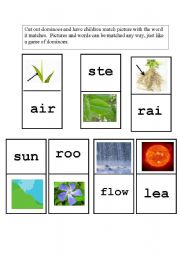 English worksheet: Parts of a Flower Domino Game