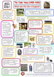 English Worksheet: Past Simple - Tudor times - What was life like in England? - The things books dont tell you!