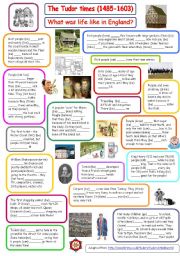 English Worksheet: Past Simple - Tudor times - What was life like in England? - The things books dont tell you!