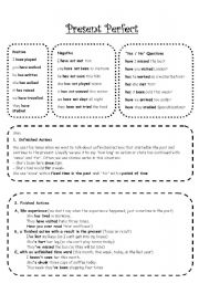 Present Perfect Grammar + Exercises (B&W)