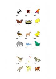 English worksheet: animals