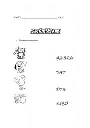 English worksheet: Animals