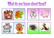 English Worksheet: ANIMALS SPEAKING CARDS PART 1