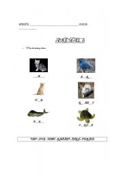 English worksheet: ANIMALS 