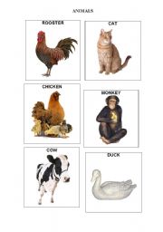 English Worksheet: ANIMALS 1 - FLASHCARDS