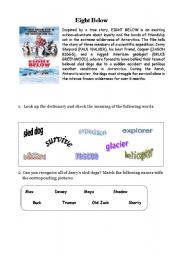 Eight Below - movie worksheet