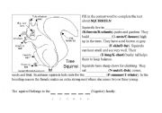 English worksheet: The squirell-for bilingual education Biology English / German