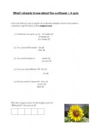 English worksheet: Sunflower quiz