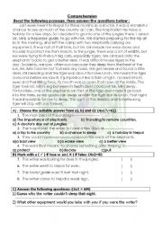 English Worksheet: reading comprehension