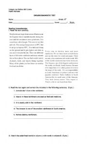 English worksheet: test