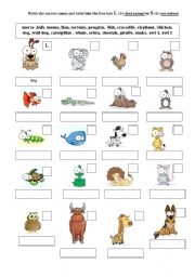 English Worksheet: animals part 1