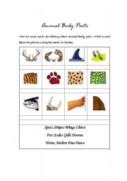 English worksheet: Animal body parts