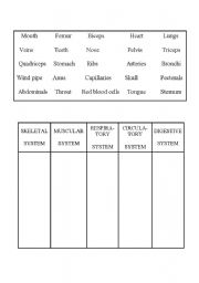 English worksheet: Systems of the human body