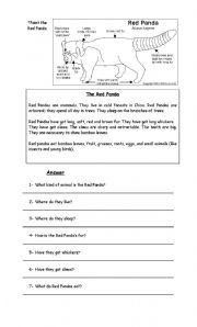 English Worksheet: The Red Panda