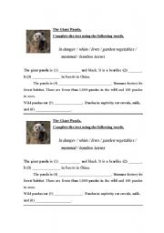 English worksheet: The Giant Panda.