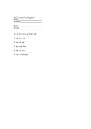 English Worksheet: Newcomer Spelling Test