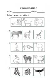 English worksheet: animals worksheet