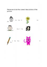 English worksheet: She He & It Worksheet