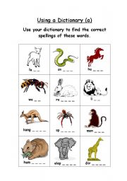 English worksheet: animals