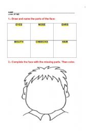 English Worksheet: PARTS OF THE FACE