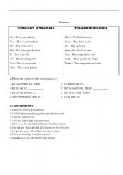 English Worksheet: Possessive determiners and possessive pronouns