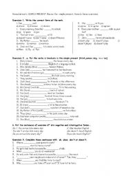 English Worksheet: remedial work present simple