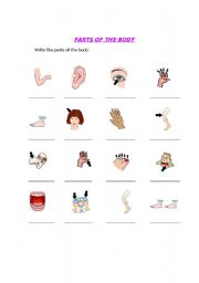 English Worksheet: PARTS OF THE BODY