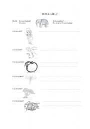 English worksheet: Is it a/an...?