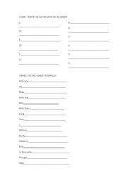 English Worksheet: grammar quiz