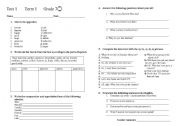 English worksheet: Grammar Test