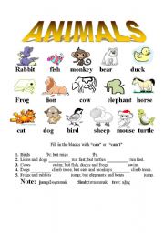 animals