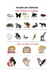 English Worksheet: beginners vocabulary ( animals and parts of the body)