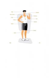 English Worksheet: Parts of the Body