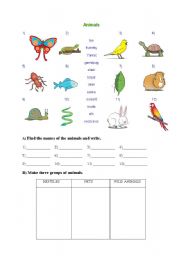 English worksheet: animals