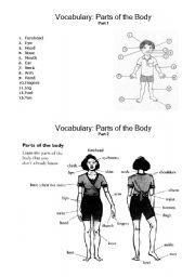 English Worksheet: Vocabulary: parts of the body