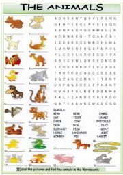 English Worksheet: Find the animals