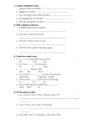English worksheet: Present Simple test