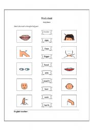 English worksheet: body parts