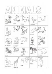 English Worksheet: animal pictionary 1/2