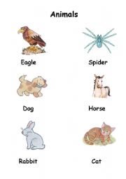 English worksheet: The animals