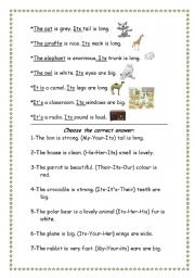 English Worksheet: possessive adjective(its)