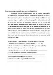 English Worksheet: reading