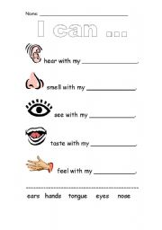 English worksheet: My five Senses