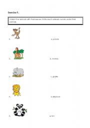 English worksheet: animals