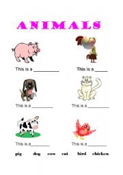 English worksheet: Animals