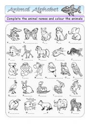 English Worksheet: Animal Alphabet (+ BW + Key)