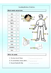 English Worksheet: Vocabulary Matching Worksheet - Body Parts