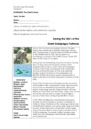 English Worksheet: The Giant Tortoises