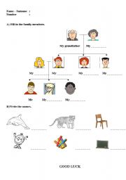 English worksheet: family and vocabulary