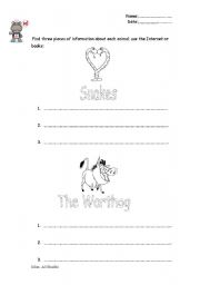 English Worksheet: facts about animals